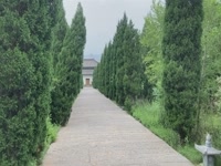 通往启母石之路